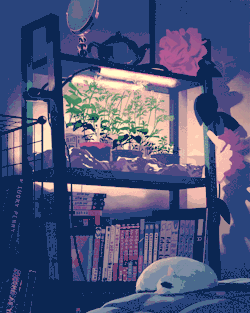 rebeccamock: “Midnight Garden”full version (square version on twitter) I made some personal animated work for the first time in ages! This is my real-life midnight garden, on a shelf in my bedroom. Featuring some of my manga and other books, my cat