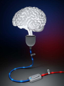 ucsdhealthsciences:  Healthy brains require a balance of two energy sources – ATP and GTP – regulated by the gene AMPD2. A mutation in the gene can result in pontocerebellar hyplasia, a neurodegenerative disease afflicting children. Illustration courtesy