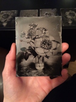 gotta say… i’m getting pretty good at this whole making tintypes thing… {  these will be up in my etsy shop soon ! }
