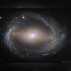 Spiral Galaxy NGC 1512: The Inner Ring #nasa #apod #esa #hubblespacetelescope #ngc1512 #spiralgalaxy #nuclearring #stars #gas #dust #innerring #outerring #interstellar #intergalactic #universe #space #science #astronomy
