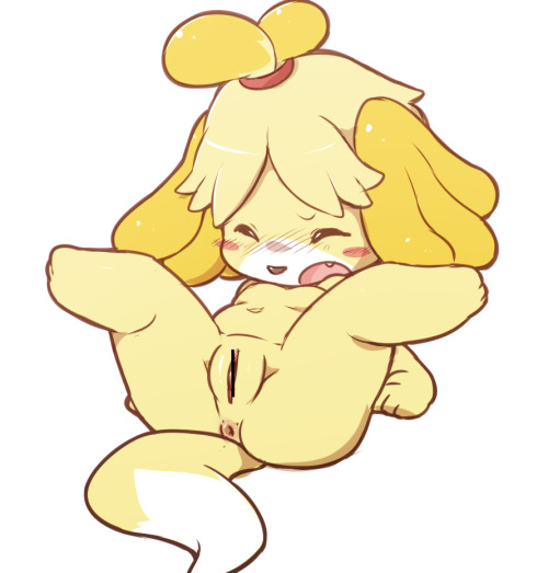 Sex furblur:  Animal Crossing’s Isabelle~Have pictures