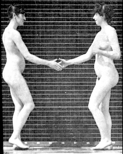 madivinecomedie:Eadweard Muybridge. Two nude women kissing