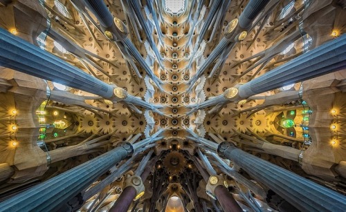 Sex modernizing:  Sagrada Familia Perspectives pictures