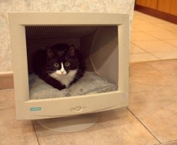 sweet-bitsy:  awwww-cute:  Found an old PC monitor, decorated a little  What website is that 