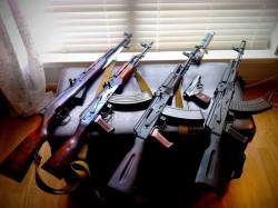 weaponslover:  1954 Tula SKS, 1973 Tula AKM, 1989 AK74, 2011 Izhvesk AK103 (Sgl 21).  