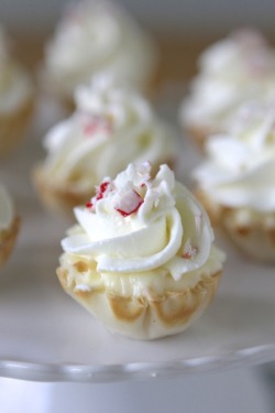guardians-of-the-food:  Mini Peppermint Cream White Chocolate