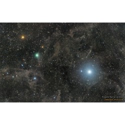 Polaris and Comet Lovejoy #nasa #apod #polaris #star #northstar #comet #lovejoy  #c/2014q2 #solarsystem #galaxy #milkyway #universe #science #space #astronomy