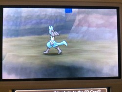 real-live-dragon: bonescaro:  bettynayo:  bonescaro: I SAW A LUCARIO ON THE POKEFINDER and this photo looks like a cryptid picture. someone add that red circle around it, and maybe arrows. wait i can do that myself  thank, this looks much better than