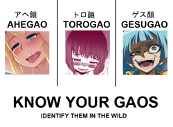 ahegao-intensifies:  sadisticxxpanda:  tsukum:  SPECIFIC ANIME FACIAL EXPRESSION TERMINOLOGY GUIDE BY YOUR FRIENDLY NEIGHBORHOOD -GAO EXPERT ahegao (アヘ顔): lit. “panting face,” ahegao refers specifically to a facial expression where the character’s