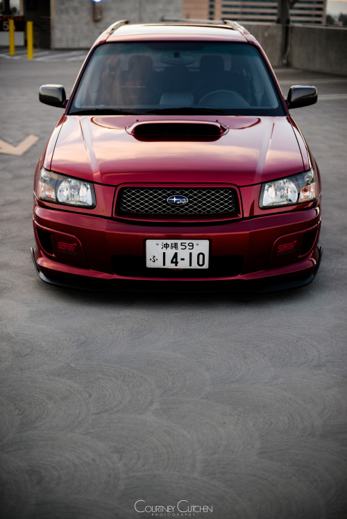 thejeffwing:  cette-annee:  Michael’s Forester STi - shot by Courtney Cutchen  Also check out my Facebook photo page: Courtney Cutchen Photography  Pure sex 