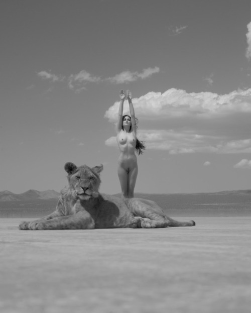 African Cats nude photos