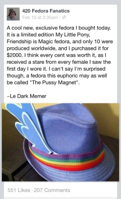 thatfruitcake:  radgoku:  oh my god oh my fucking god   that is literally painted fun foam and rainbow trim from a craft storewould it be unethical to get into the “mlp fedora racket” because wow 񘘐? this would take like ~20 min to make