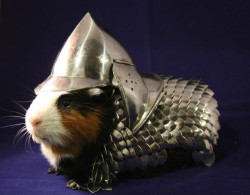 lulz-time:  superpunch2: Guinea pig armor available at ebay. 