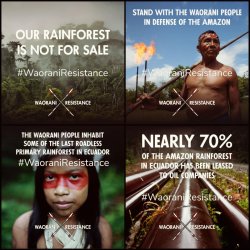 softshellsailor: eternalistic:  (via Our Rainforest Is Not For Sale)  Dear Global Citizen, In just one week, a three-judge panel in an Amazonian court will make a decision that could save half-a-million acres of the Waorani people’s rainforest homeland