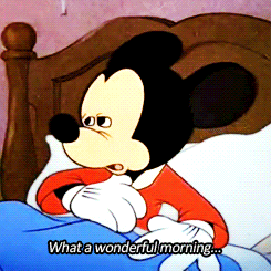 out-nerd-myself:  every morning 