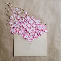 ladypaolabo:  floralls:  envelope series I by anna remarchuk         ♡♡♡ 