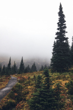 northwezt:  Mount Rainier National Park (October