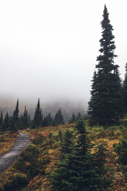 northwezt:  Mount Rainier National Park (October 11, 2014) Flickr / Instagram 