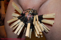 mistressaliceinbondageland:  She is ready to take control, in every sense of the word. Chastity has helped bring her husband in line using a custom fitted device but CBT also helps.I introduce them to caning when CBT clothespins seem to only make his