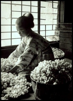 iseo58:  Mayu (silk cocoons) c 1915-23, Japan.
