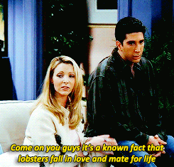 phoebe-buffay:  She’s your lobster! 