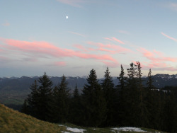 oix:  Tiny Moon &amp; Pink Clouds by bookhouse boy on Flickr.