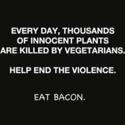 Eat bacon. #eat #bacon
