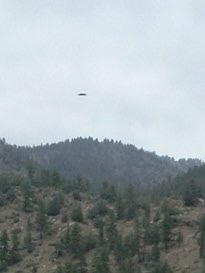anythingufo:  Disc Shaped UFO Photographed Above A Gold Mining Town In Colorado   This black disc UFO was photographed above the gold mining town of Frisco in Colorado on July 13, 2014.  We all know how much Aliens love gold.  Read our thoughts about