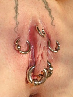pussymodsgalore  HCH, outer labia and inner labia piercings, all with rings. Looks good! 