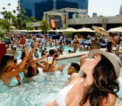 New Post has been published on http://bonafidepanda.com/summer-here-top-3-vegas-pool-parties/Summer is Here! Top 3 Vegas Pool PartiesWhen you speak of parties and nightclubs, it is without a doubt that Las Vegas is the city that has it all.” In this