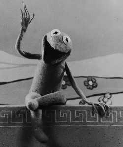 jimhenson-themuppetmaster:Kermit the Frog before he was a technically a frog, fans have dubbed the pre - frog Kermit as “ Abstract Kermit ”. I believe this is the second model, used in Sam and Friends later years, and other Appearances in the early