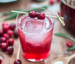 jerryjamesstone:  Cranberry &amp; Sage Drinking Vinegar http://cookingstoned.tv/recipe/cranberry-sage-shrub-drinking-vinegar/ 