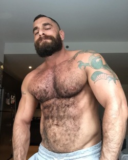 nicephysiques:@thebearnakedchef