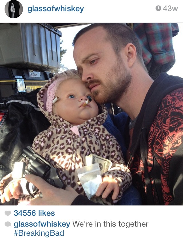 barry-effin-gibb:  Aaron Paul’s Instagram is a thing of beauty 