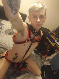 Bdsm, Twinks and celebs