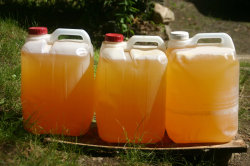 Currentsinbiology:  Should We Return The Nutrients In Our Pee Back To The Farm? -