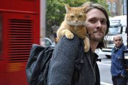 ourloveissemperfii:  &ldquo;One day in the subway, James saw a red cat with a wound to the leg that likely resulted from a fight with another cat. It was obvious that the cat needed help. James could not pass and took the cat to the vet. With a little
