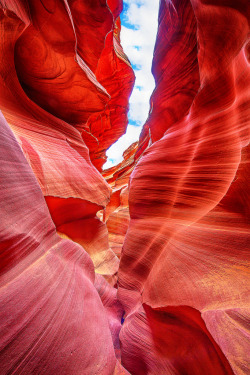 very-pretty-things: Lower Antelope Canyon: Skylightflickr.com 