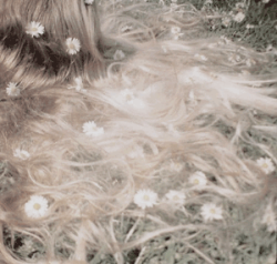 noctevita: etudiegogh:  women in literature: Ophelia, Hamlet. “There’s rosemary, that’s for remembrance.“  