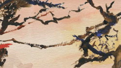 willkimart:  Naked Branches, Loss, &amp; the Beginning - by Will KimTraditionally animated with watercolor on paper and digitally composited in Adobe After Effects Watercolor Animation GIF 3 Painting Frames Example © Will Kim “Naked Branches”