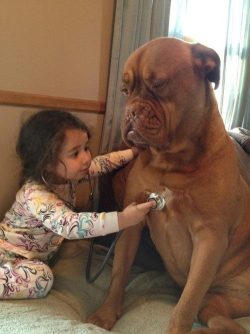 majortvjunkie:  I highly doubt that little girl is a licensed veterinarian  
