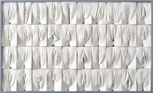 divasdishblog:  Besides being the greatest pun ever, “The Great Wall of Vagina” is a 10-panel polyptych series by British artist Jamie McCartney made up of 400 molds of the vaginas of 400 different women.  The women depicted ranged in