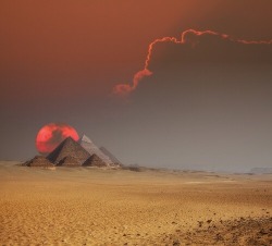 divaneee:  Sunset at the Pyramids, Cairo