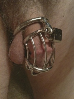 cocklockedsub:  Just received my new cage in the mail. 