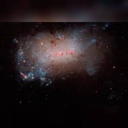 NGC 4449: Close-up of a Small Galaxy #nasa #apod #esa #hubblelegacyarchive #ngc4449 #dwarfgalaxy #stars #gas #dust #constellation #canesvenatici #interstellar #intergalactic #universe  #space #science #astronomy