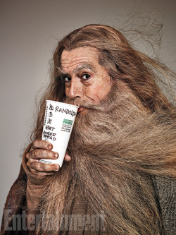 feralworks:  entertainmentweekly:  Yup, we took Stephen Colbert out in New York City dressed as your (and his) favorite The Hobbit characters. It was amazing.  Photo Credit: Ruven Alfanador for EW   You can feel the joy!  Stephen Colbert is such