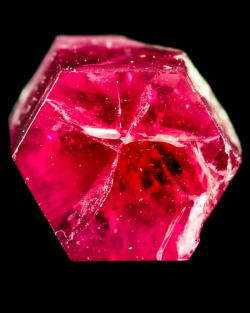 d0n-quijote:fuckyeahmineralogy:Red Beryl [x]Aquamarine [x]Pyrite on Rhodochrosite [x] Fluorite [x] Malachite Stalactite [x] Cobaltoan Calcite [x] Rhodochrosite [x] Dioptase [x] Fluorite [x] Spessartine [x]   cr…crys…crystal gems 