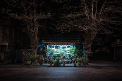  Paolo Fusco - Fiori 24h Artist’s statement: &ldquo;Hardly anything is open 24h in Rome: a few bars, a few stores, self service gas stations and flower kiosks, a lot of flower kiosks. You can find them everywhere in the city and they never close. They