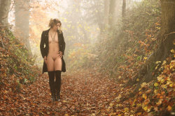 fussyfella:  I love autumn. Autumn Fog by
