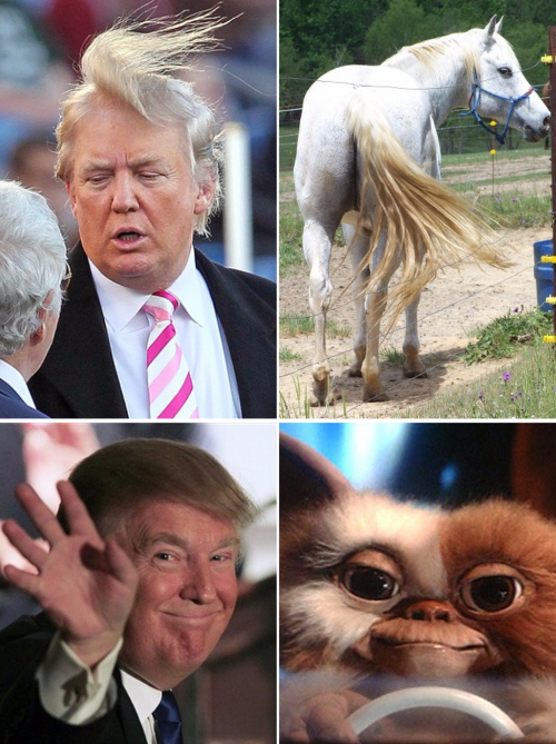 tastefullyoffensive:  Things Donald Trump porn pictures